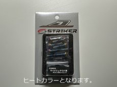 画像5: アラタレーシングワークスストライカー　チタンボルトセット　Z9OORS用　サイドシュラウド用 (5)