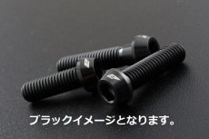 画像4: アラタレーシングワークスストライカー　チタンボルトセット　汎用　ライセンスプレート用 (4)