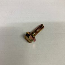 画像1: STRIKER　ステップキットリペアパーツ　フランジ付き六角ボルト　M6×20　 (1)