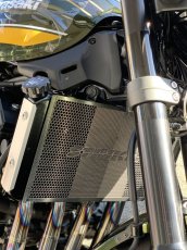 画像4: STRIKER ラジエターコアガード　KAWASAKI　Z900RS/CAFE ~`20 (4)