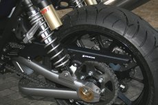 画像3: STRIKER エアロデザイン SAD カーボンチェーンカバー KAWASAKI ZRX1200R/S、ZRX1200DAEG (3)