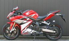 画像5: STRIKER SPECIAL STEP KIT TypeS&Rタイプ2　9ポジション　HONDA 17~20 CBR250RR (2気筒) (5)